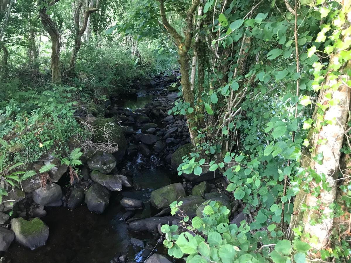 Lissyclearig Lodge Kenmare Dış mekan fotoğraf