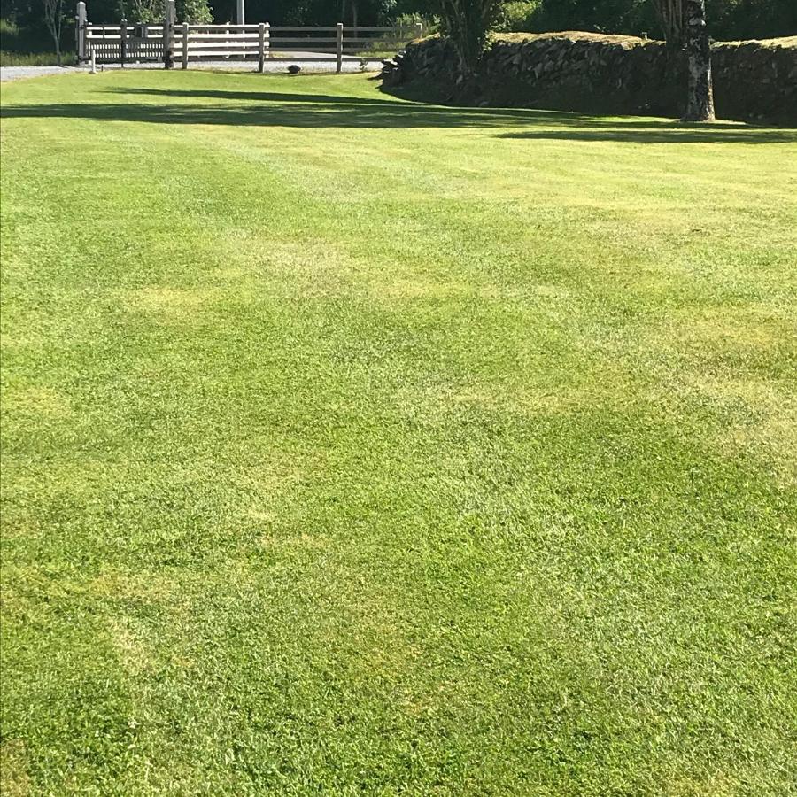 Lissyclearig Lodge Kenmare Dış mekan fotoğraf