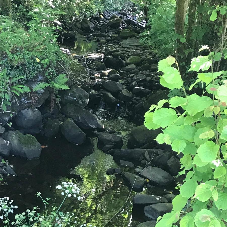 Lissyclearig Lodge Kenmare Dış mekan fotoğraf